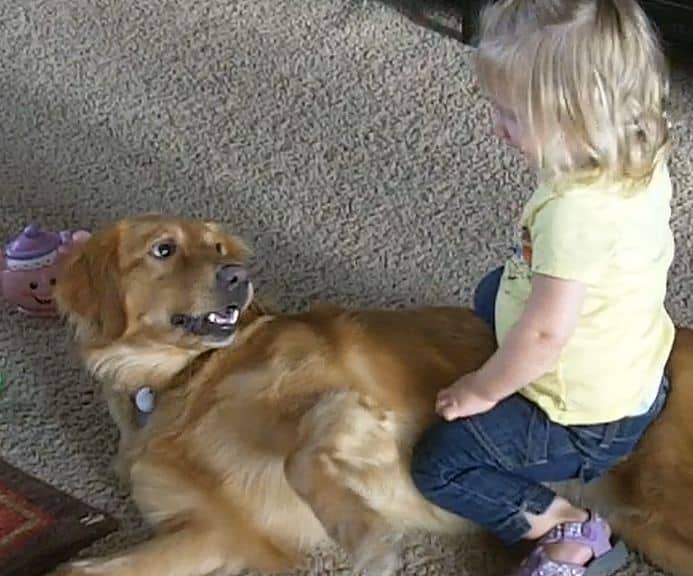 Rosie and Finlee, the best of buddies