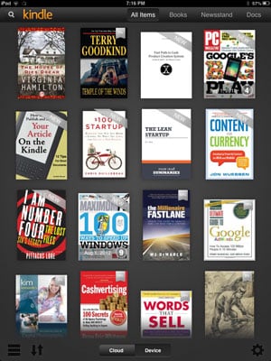 Kindle iPad App